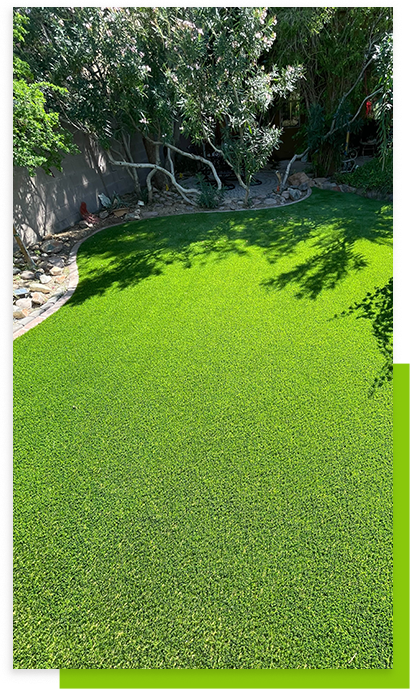 Always Green Grass lawn with trees giving off shadows