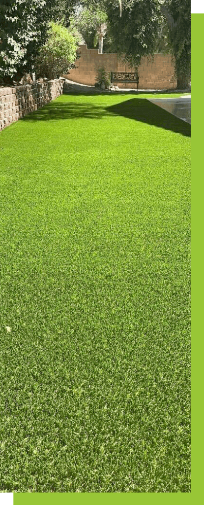 Always Green Turf | Amazing yard of green grass