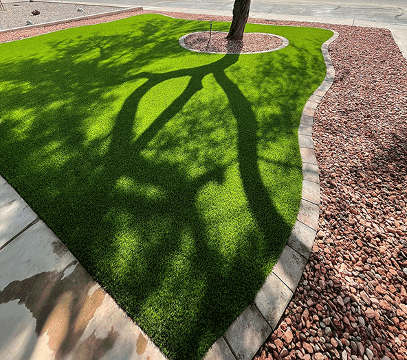 Always Green Turf | Wonderful Front yard with lush green grass