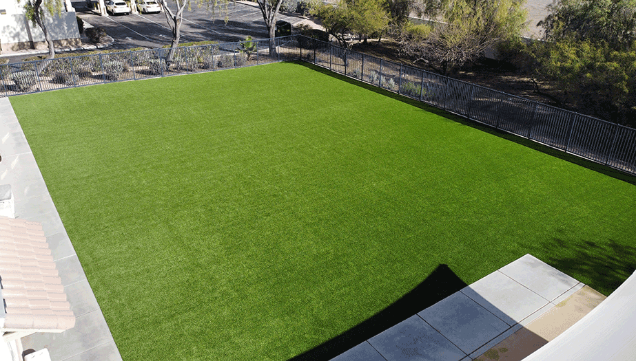 Always Green Turf | Overview of green turf
