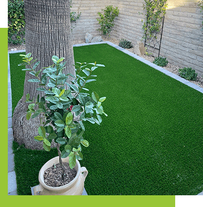Always Green Turf | Green turf with a tree and plants